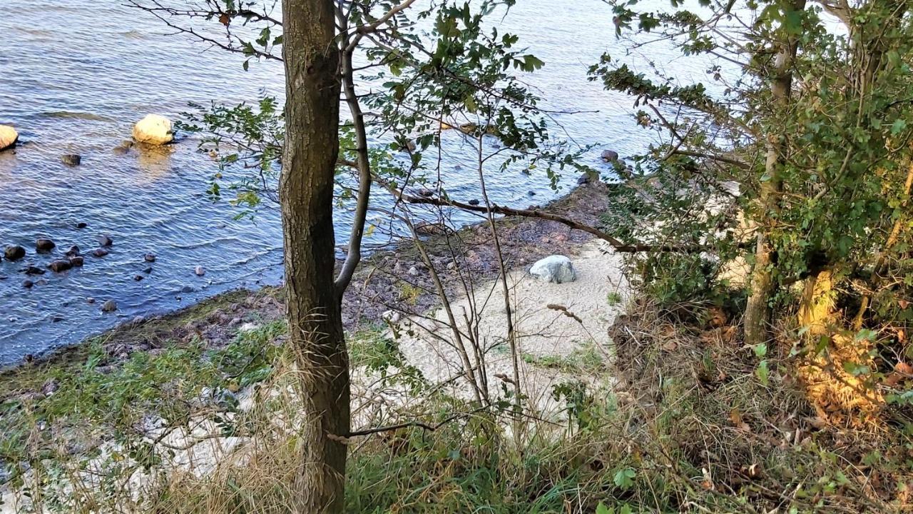Poeler Moewe * Insel Poel