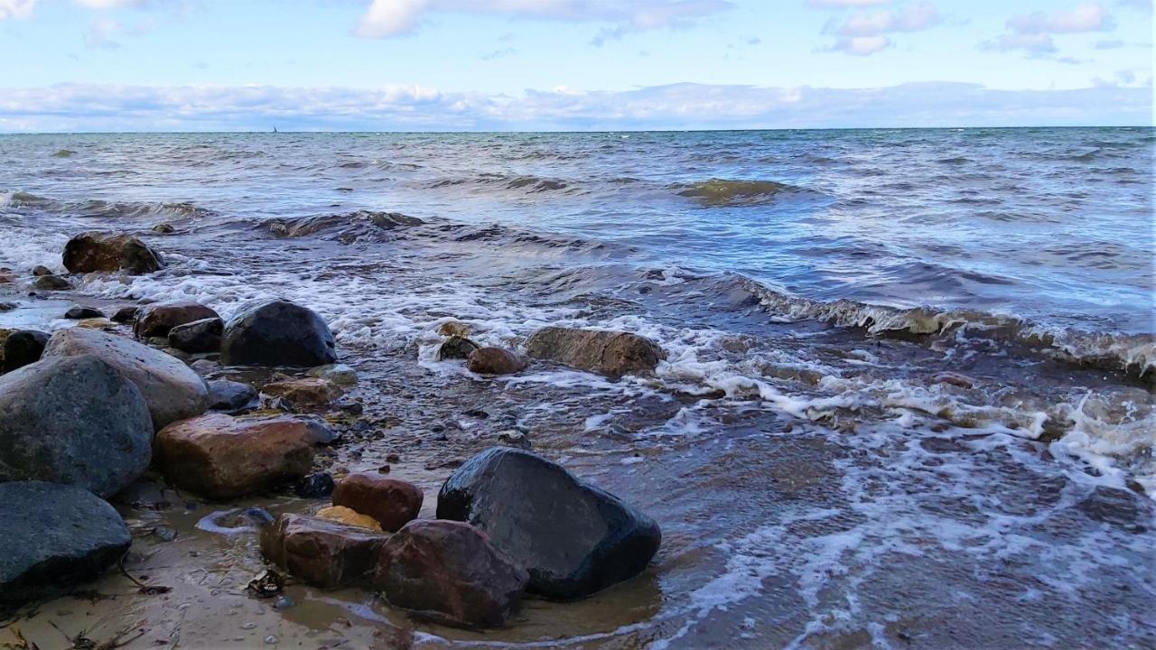 Poeler Moewe Insel Poel