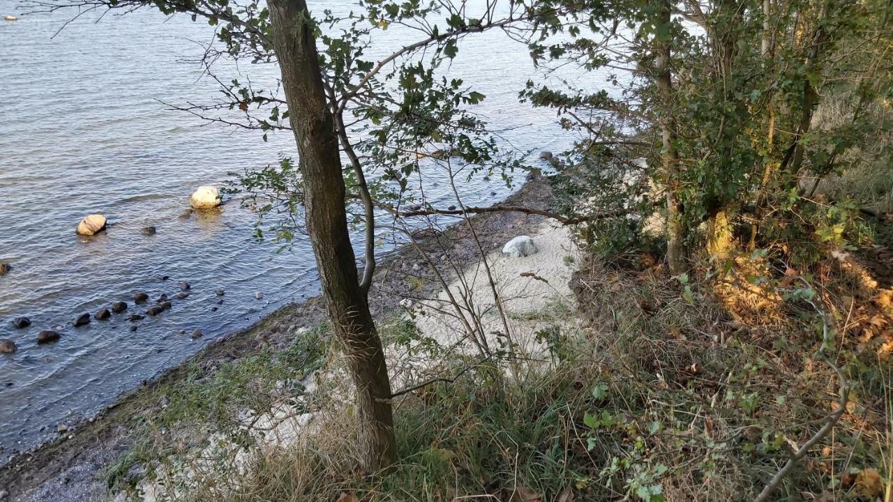 Apartment Poeler Moewe Insel Poel